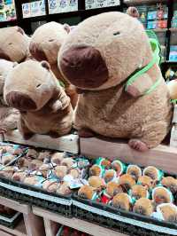 Q Pocket at Quill City Mall – Treasure Trove of Toys, Gifts & Whimsical Finds