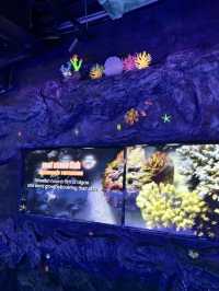 Stroller-Friendly Fun at Aquaria KLCC 👶🐠