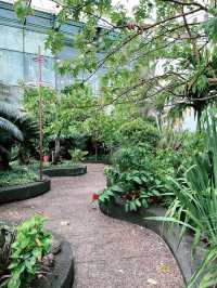 Lush Rooftop Oasis in PJ