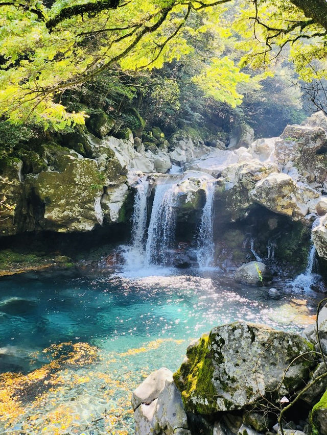 Refreshing Dip in Nature's Pristine Waters (Seasonal)