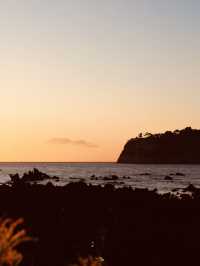 Walking the Sea: Jeju’s “Moses Miracle”