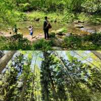 Into the Real-Life Avatar Mountains: A Zhangjiajie Adventure