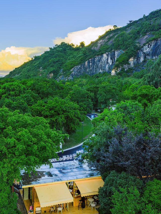 🌿 Hidden Gem in Wenzhou: Qinghe Park in Yueqing — Free Shuttle + Picnic Paradise!