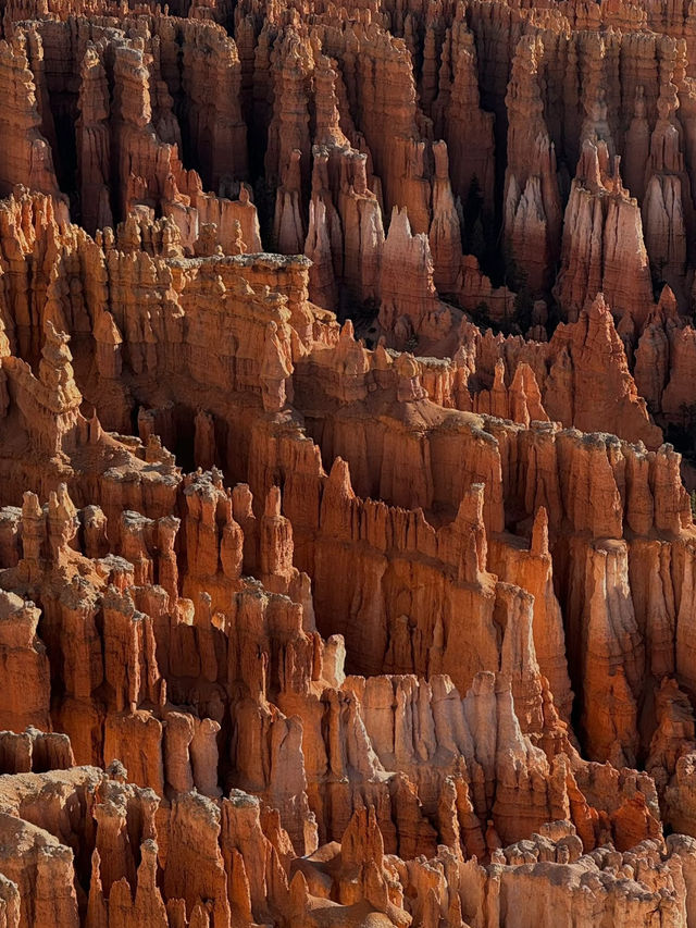🌄Sunrise at Bryce Canyon – A Dreamy Hoodoo Wonderland
