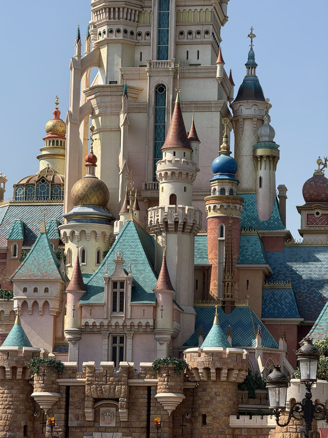 Disneyland in New Year 2025