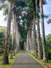Exploring the Lush Sir Seewoosagur Ramgoolam Botanical Garden