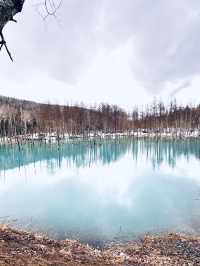 無論世界多麼冰冷， 只要心裡有光， 就能溫暖一切。《宮澤賢治》