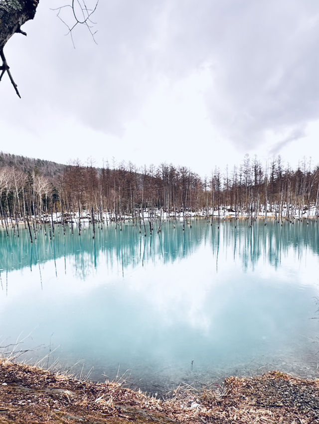 無論世界多麼冰冷， 只要心裡有光， 就能溫暖一切。《宮澤賢治》
