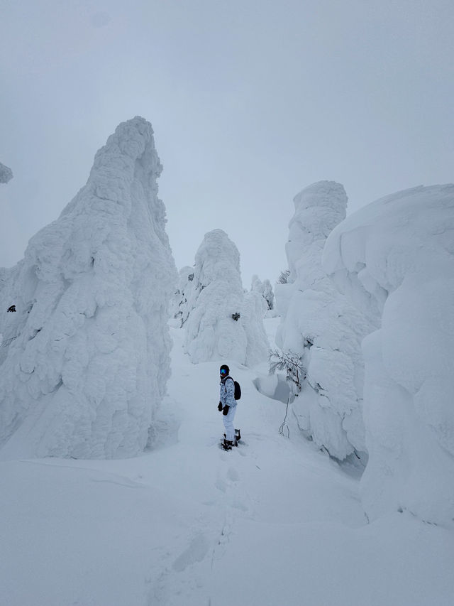 Zao onsen ski resort 