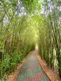 A Green Escape at Botanical Garden Baguio