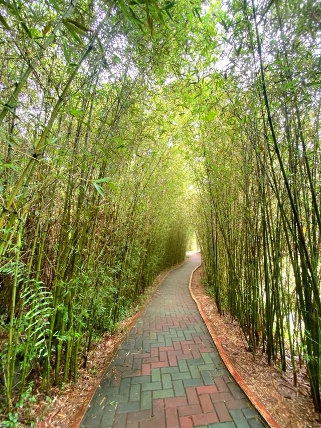 A Green Escape at Botanical Garden Baguio