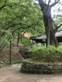 공주 가볼만한곳