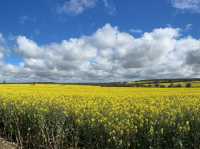 Western Australia-Albany Highway