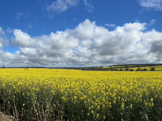 Western Australia-Albany Highway Western Australia-Albany Highway