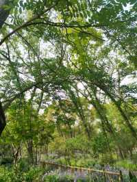 Gongqing Forest Park: Shanghai's Wild Heart