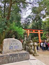 【奈良公園】砂ずりの藤　春日大社