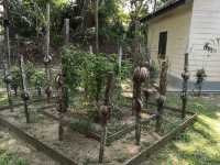 From Chartered Company to Death March: How the Museum Tells the Dual-Sided Epic of Sandakan
