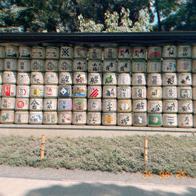 探索東京綠意：明治神宮一日遊 🌿⛩️ 