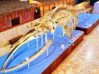 Sabah State Museum – A Journey Through Sabah’s Heritage