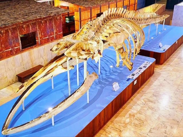 Sabah State Museum – A Journey Through Sabah’s Heritage