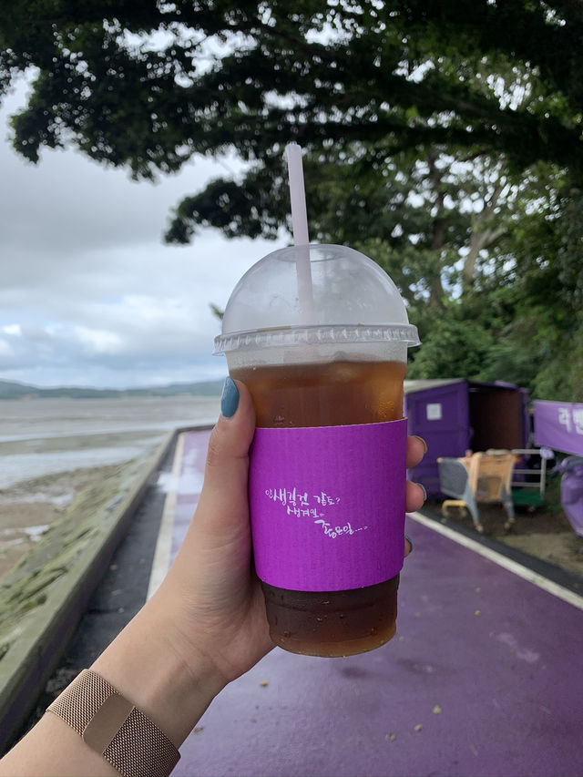 🌊 전남 1박 2일 여행 코스 추천