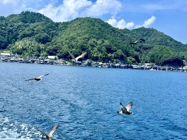 Ine Bay Kyoto 🇯🇵 สวยย So จึ้งใจมากกก 🩵