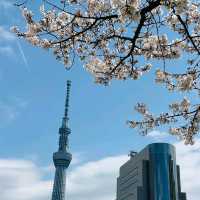 Sumida Park