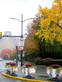 The Bund Shanghai พามาชมวิวเดอะบัน