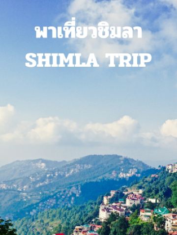심라 여행을 떠나세요 SHIMLA TRIP