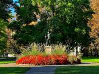 🕊️ Reformation Wall – A Monument to History & Faith 🕊️