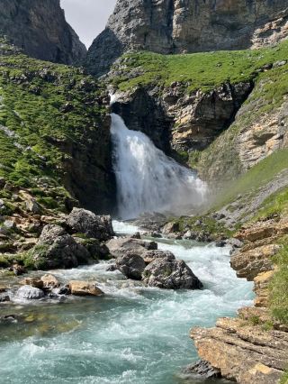 Revolving Around the Beauty of Nature: Eyes – France