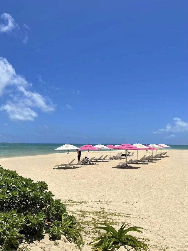 Kohama Island Getaway 🌴 Pure Okinawa bliss 🌺