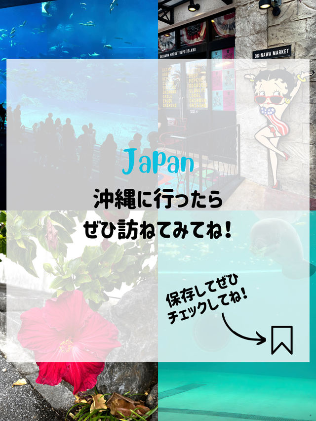 【初めての沖縄も安心🌴🌺‼️】沖縄で絶対行くべきスポット✨