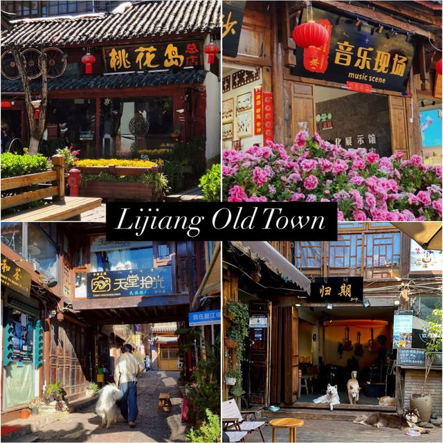 1 Day 1 Night at Lijiang Old Town 🏯✨