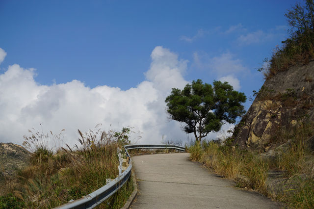 【香港行山】⛰️🏕️屯門菠蘿山・良田坳峽谷