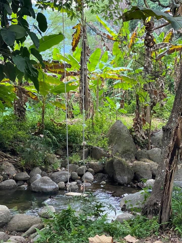 Baan Tharn Klom 🌲