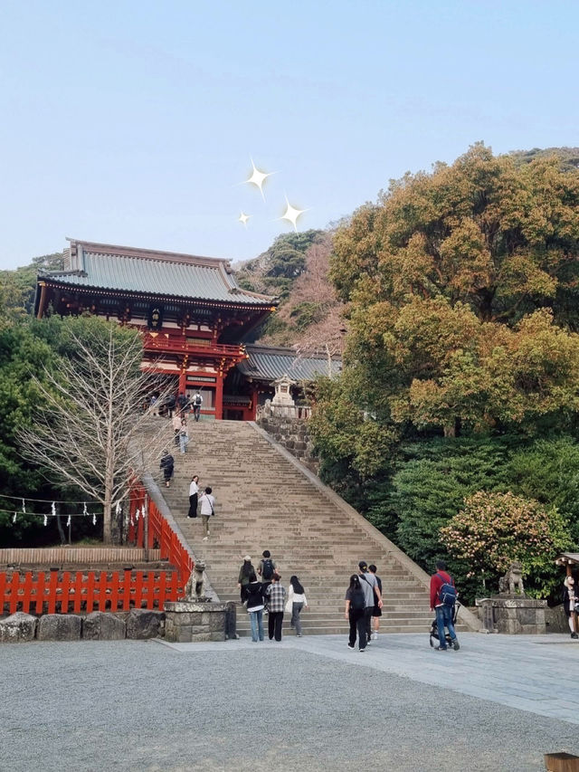 Traveling in Kamakura