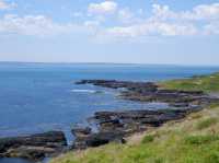 🐾 รีวิว: The Nobbies – จุดชมวิวและธรรมชาติ