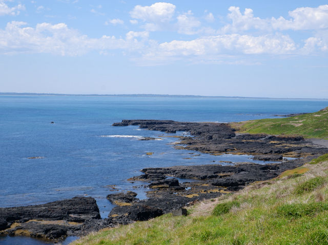 🐾 รีวิว: The Nobbies – จุดชมวิวและธรรมชาติ