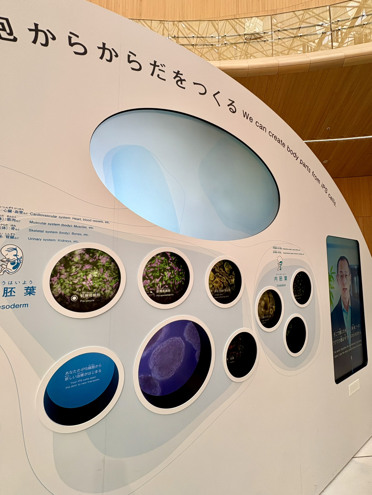 大阪・関西万博】予約なしでも一部エリア入館可！大阪ヘルスケア