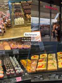 【スイス旅行🇨🇭】ルツェルン観光🪄