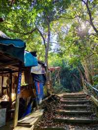 靜謐山林裡的大佛手——南觀音山步道小旅行