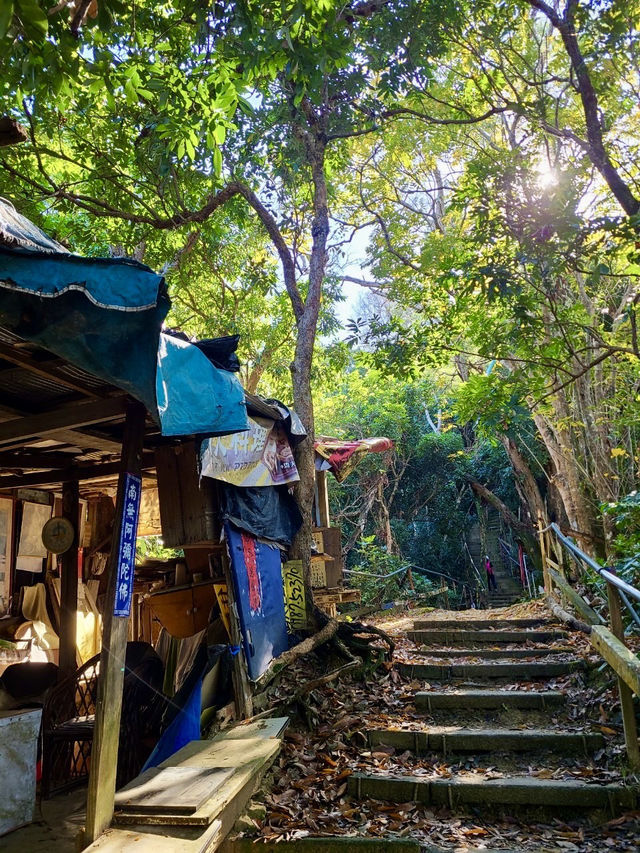 靜謐山林裡的大佛手——南觀音山步道小旅行