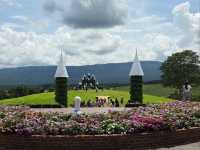 เคมงอัลปาก้า เขาใหญ่