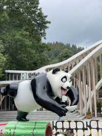 🐼📍เที่ยวเฉิงตู Panda Valley Dujiangyan🎋✨