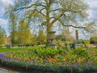 영국 왕립식물원 큐 가든의 대형 온실, 팜 하우스