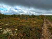 🌌 Lemmenjoki National Park – The Wild Soul of Finnish Lapland