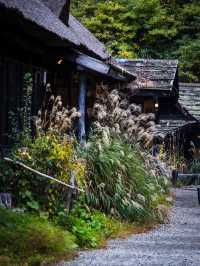 Tsuru-no-yu – สถานที่ที่เราแวะมาเยือนแม้ไม่ได้พัก