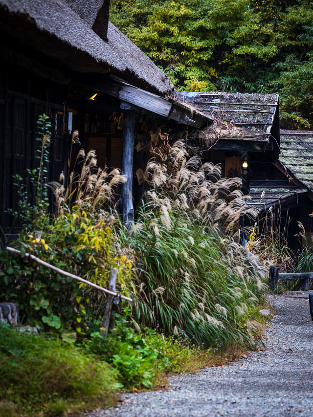 Tsuru-no-yu – สถานที่ที่เราแวะมาเยือนแม้ไม่ได้พัก