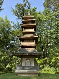 在美國🇺🇸最不美國的地方—-德州的城市綠洲🍃快點記錄下來！